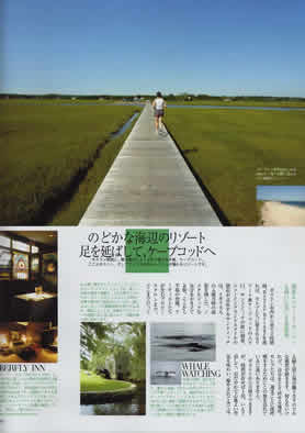 �u�}�C�t�H�[�e�B�[�Y�v10����