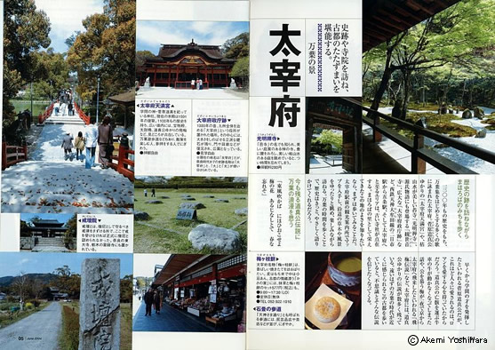 �u�Ȃ����v2004�N6����