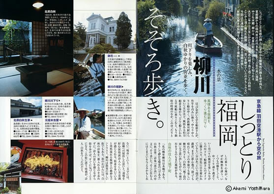 �u�Ȃ����v2004�N6����