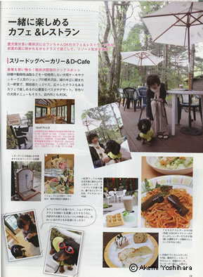 �u���ɂ��E�H�[�J�[�v�@�y���ւ��ł���