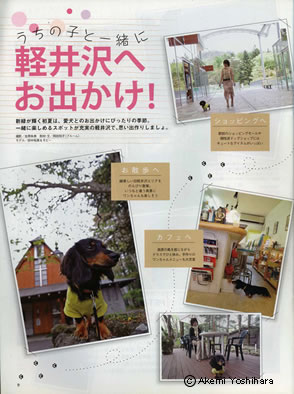 �u���ɂ��E�H�[�J�[�v�@�y���ւ��ł���