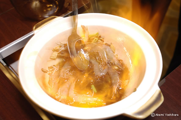 2008 ���j���[