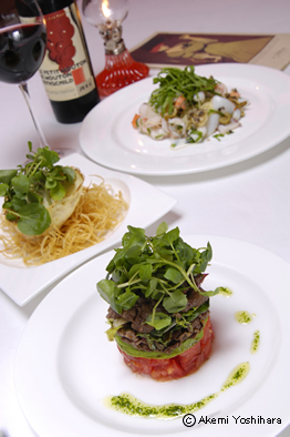 2008 ���j���[