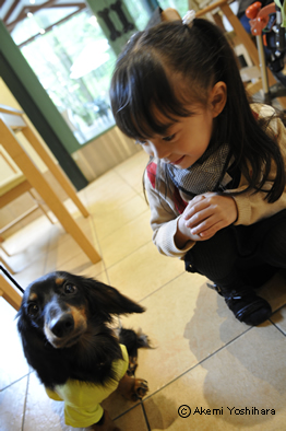 �y���ŏo��������̎q